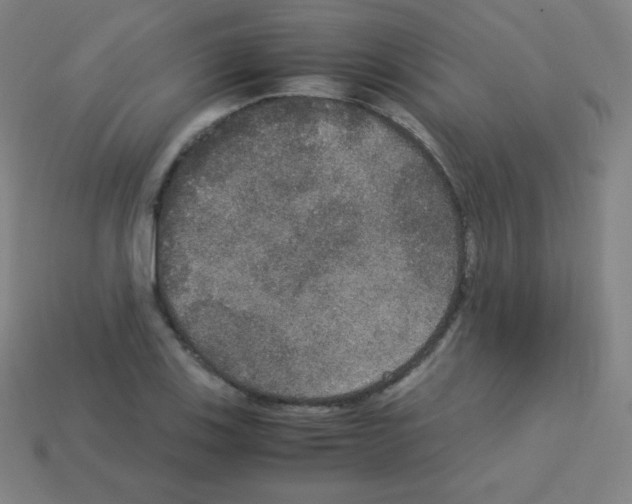 X0000113111123200910091154