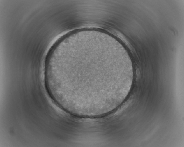 X0000113111124200910091154