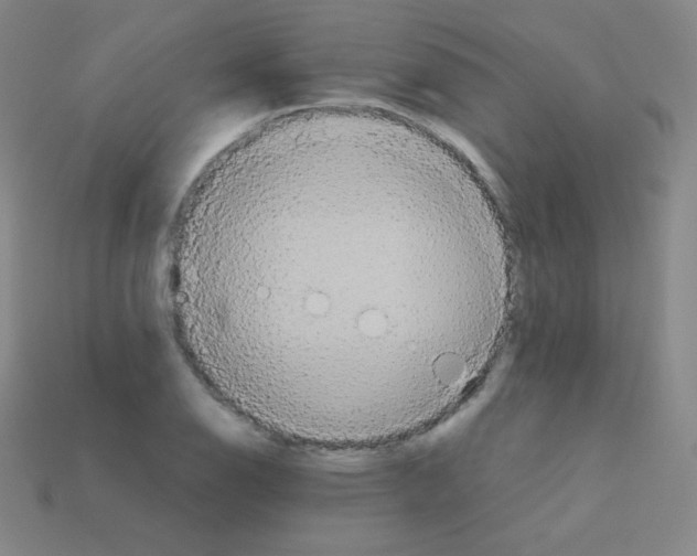 X0000113111126200910091154