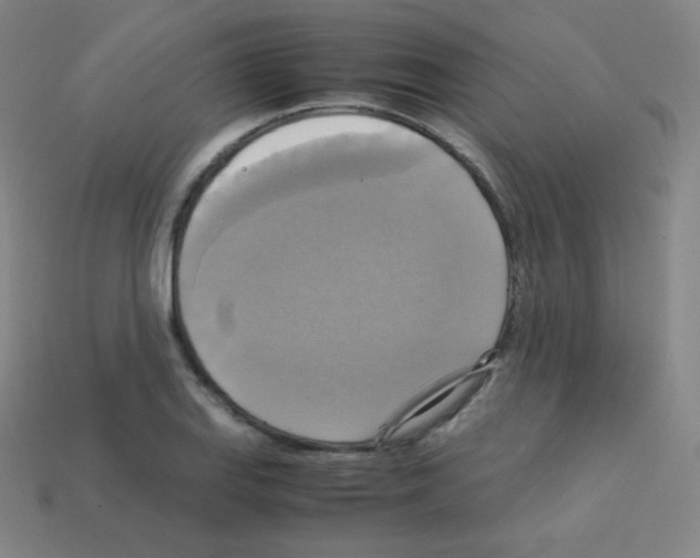 X0000113111127200910091154