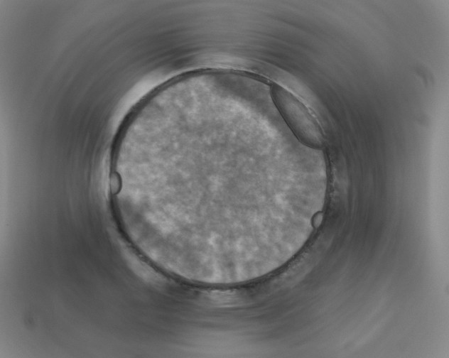 X0000113111128200910091154