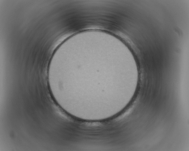 X0000113111129200910091154