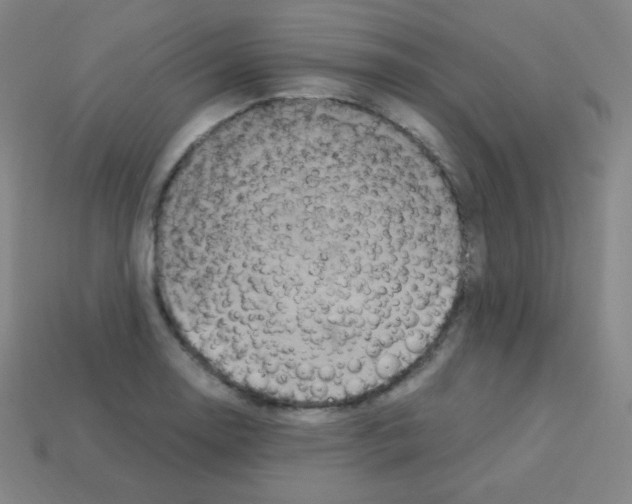 X0000113111130200910091154