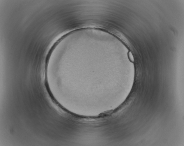 X0000113111132200910091154