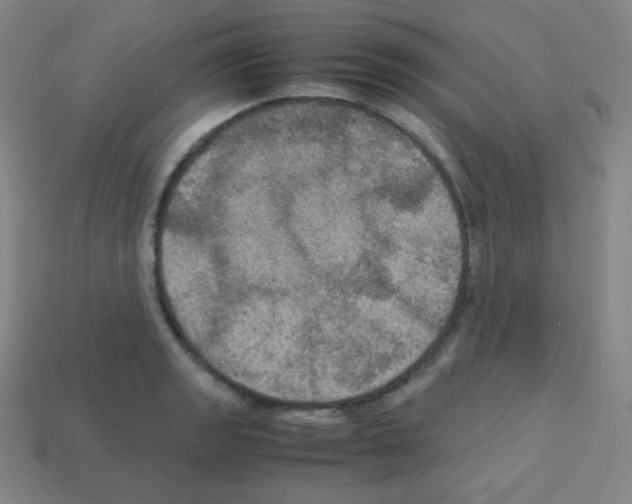 X0000113111133200910091154