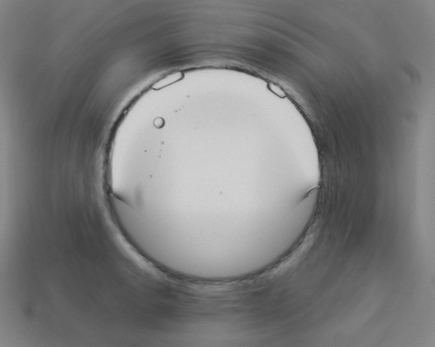 X0000113111134200910091154