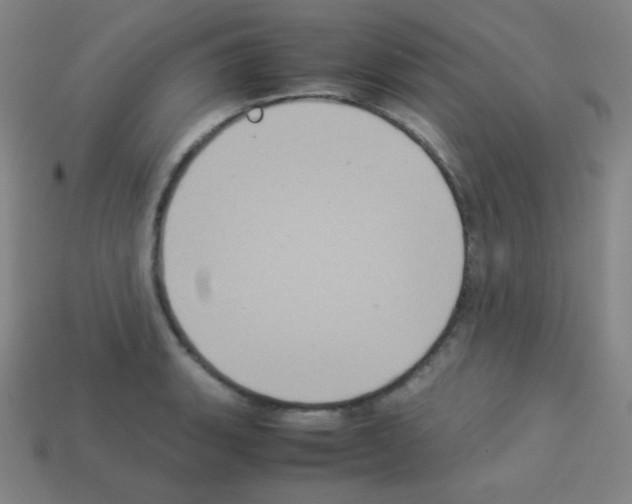 X0000113111135200910091154
