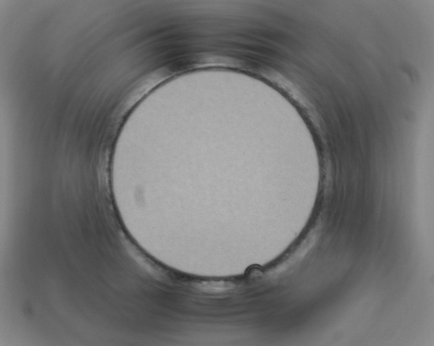 X0000113111137200910091154