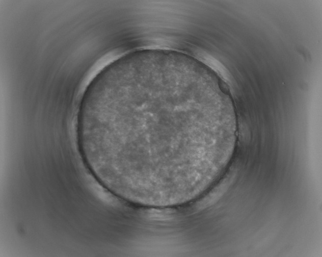 X0000113111138200910091154