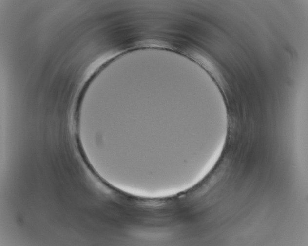 X0000113111141200910091154