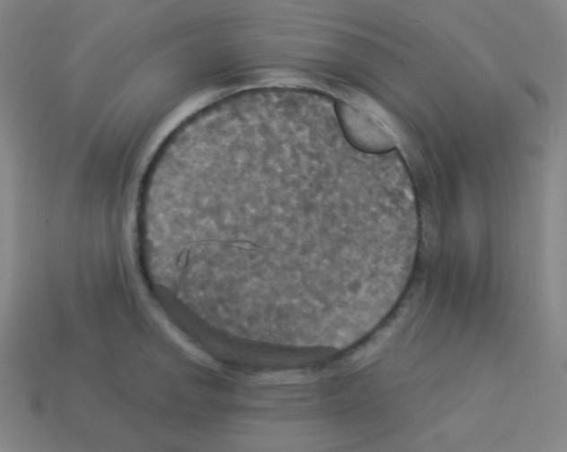 X0000113111142200910091154