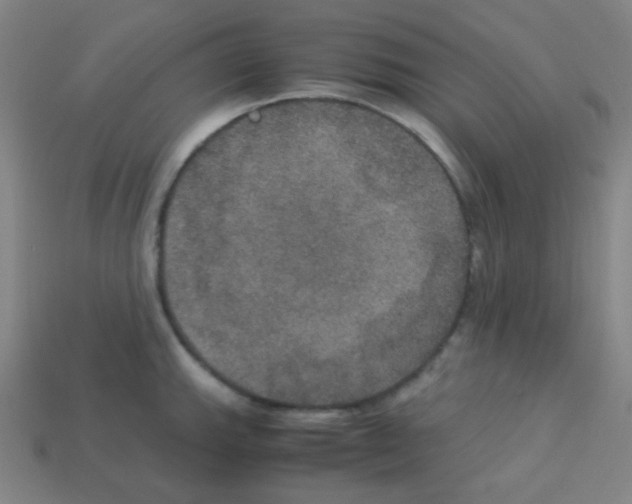 X0000113111143200910091154