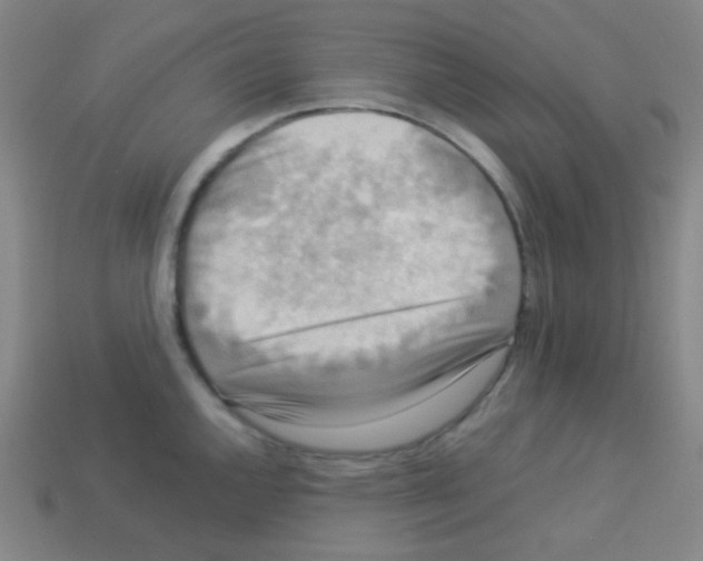 X0000113111144200910091154