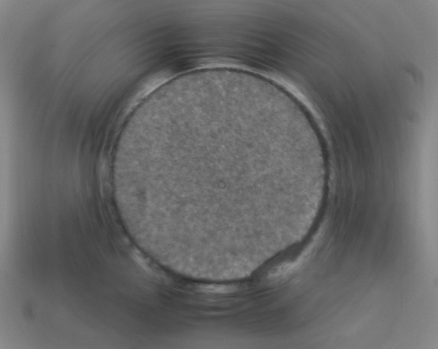 X0000113111145200910091154
