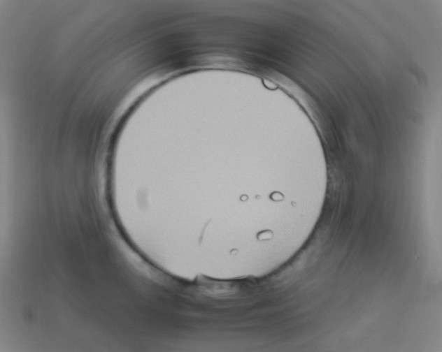 X0000113111147200910091154
