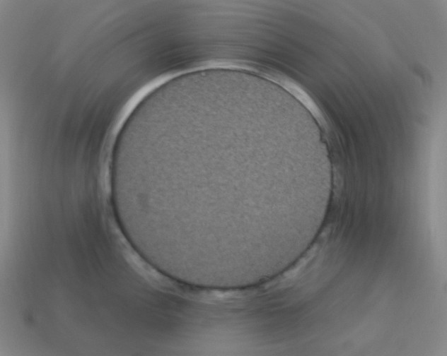 X0000113111148200910091154