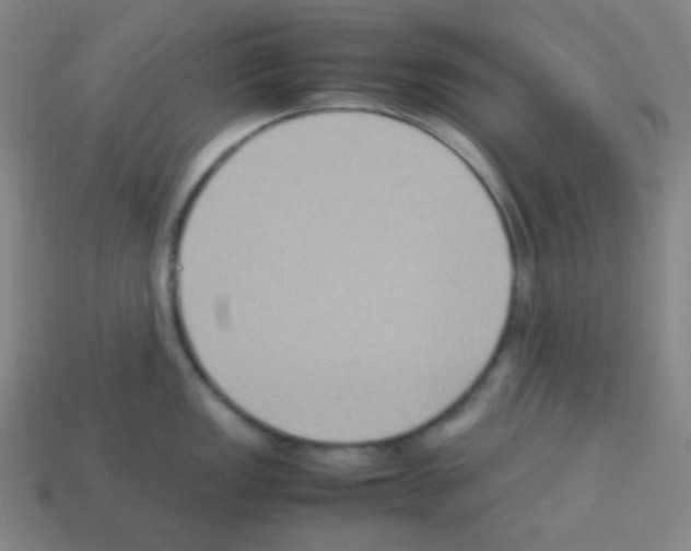 X0000113111149200910091154