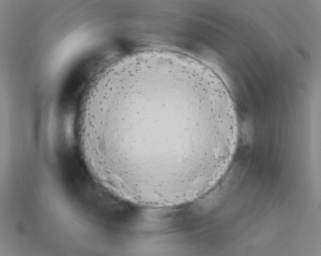 X0000113111150200910091154
