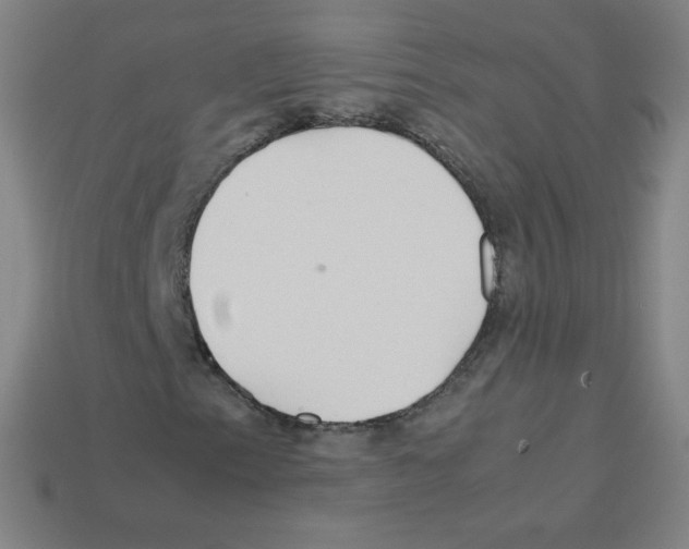 X0000113111153200910091154