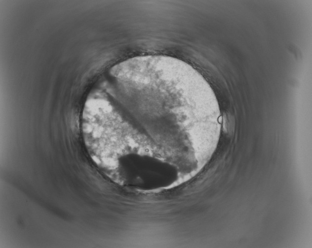 X0000113111155200910091154