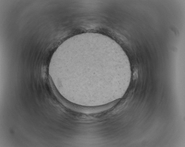 X0000113111156200910091154
