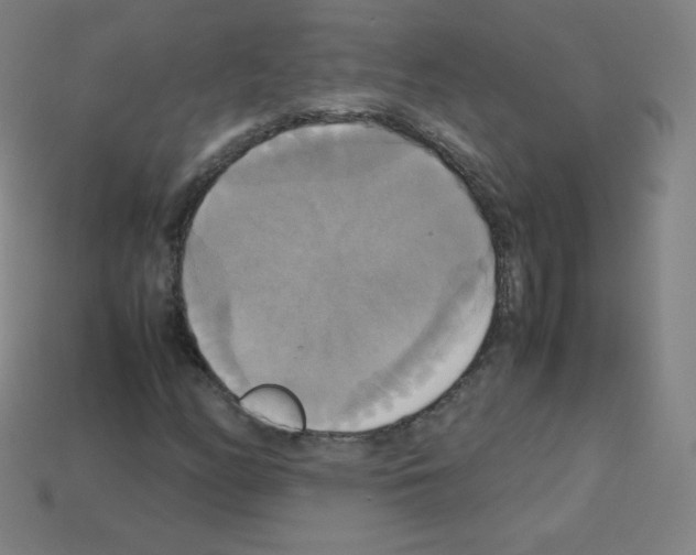 X0000113111158200910091154