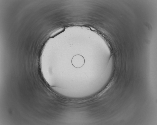 X0000113111161200910091154