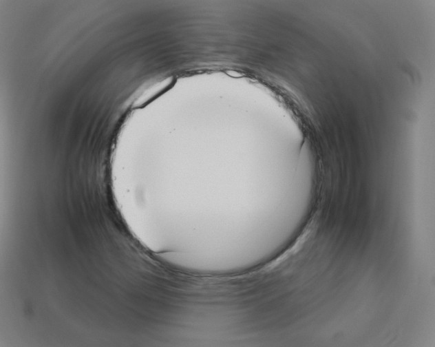 X0000113111162200910091154