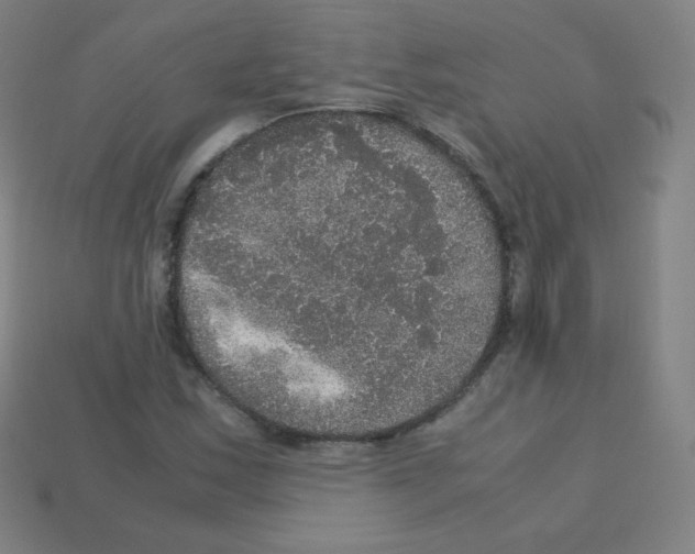 X0000113111163200910091154