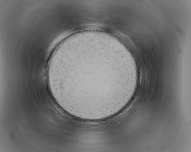 X0000113111164200910091154