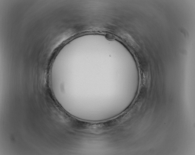 X0000113111165200910091154