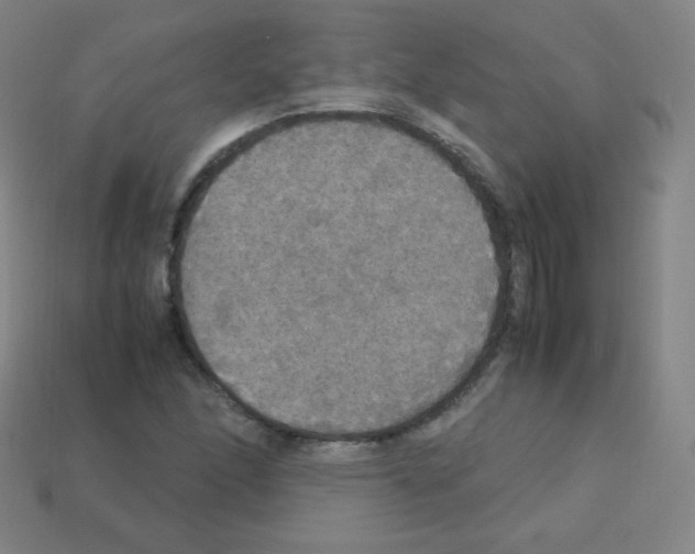 X0000113111166200910091154