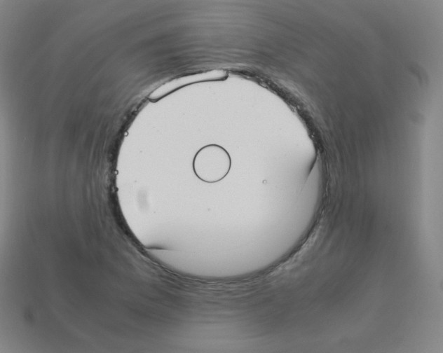 X0000113111169200910091153