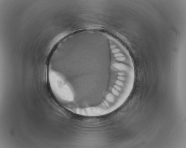 X0000113111171200910091153