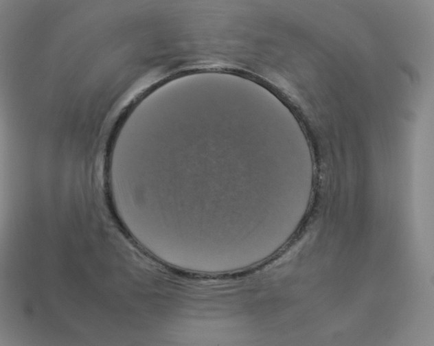 X0000113111173200910091153