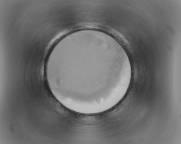X0000113111174200910091153