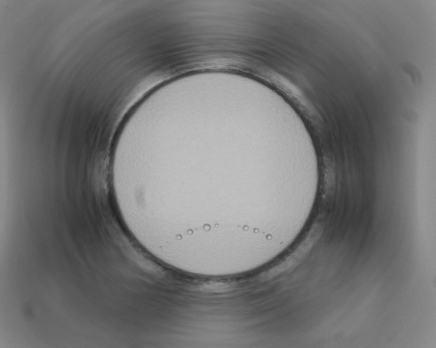 X0000113111178200910091153