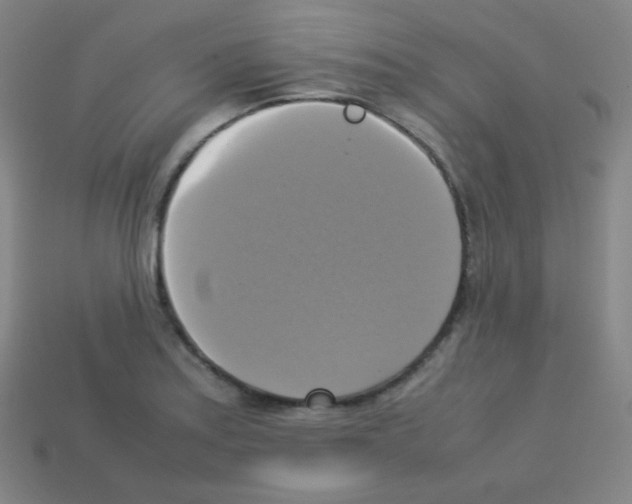 X0000113111179200910091153