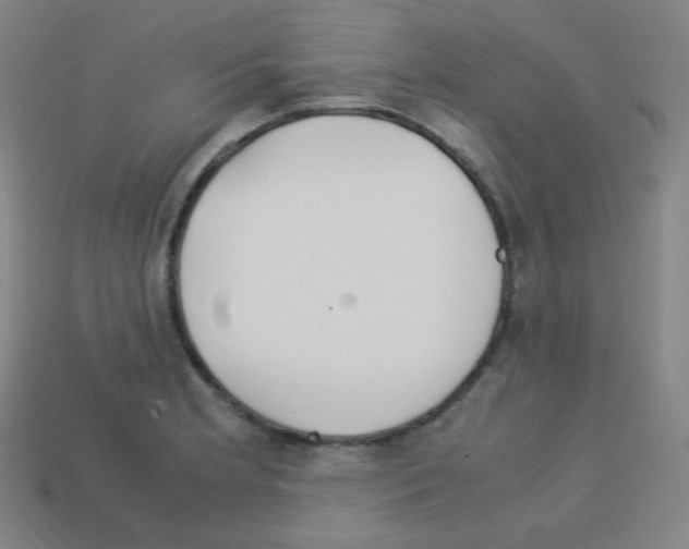 X0000113111181200910091153