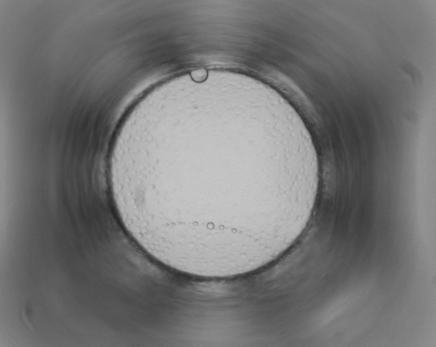 X0000113111182200910091153