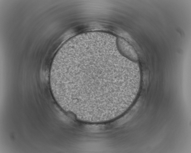 X0000113111185200910091153