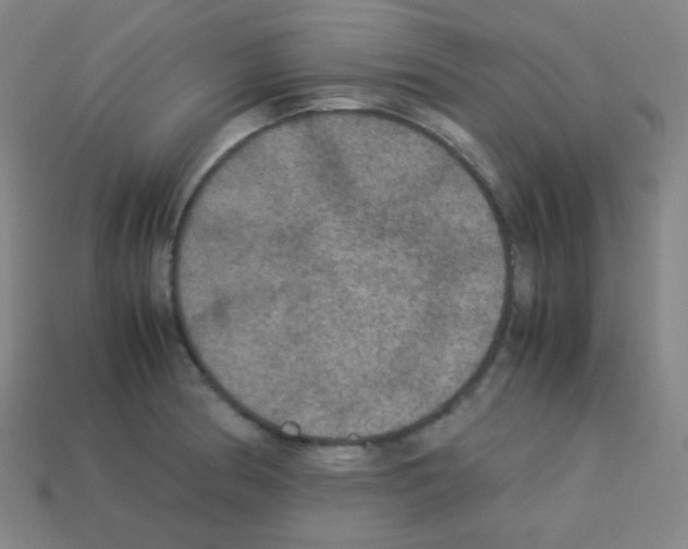 X0000113111186200910091153