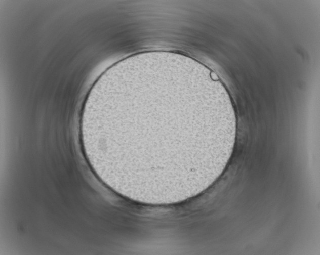 X0000113111187200910091153
