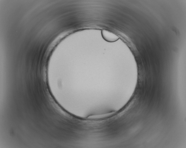 X0000113111188200910091153