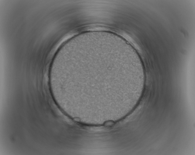X0000113111189200910091153
