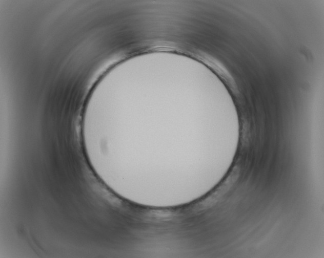 X0000113111190200910091153