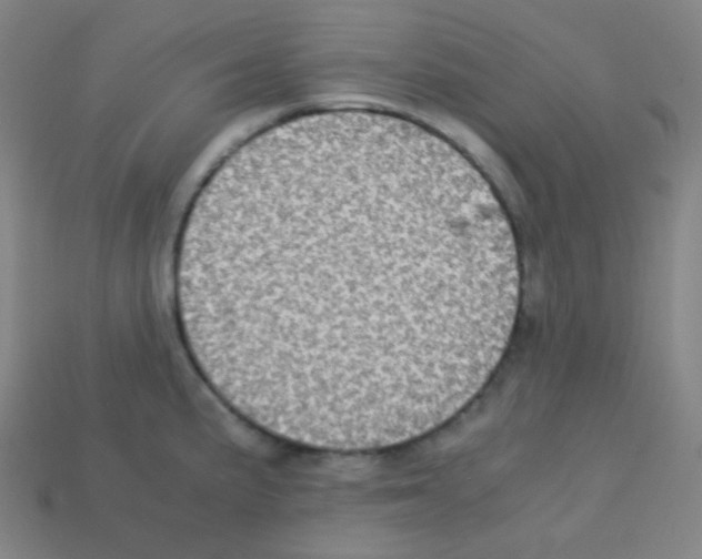 X0000113111191200910091153