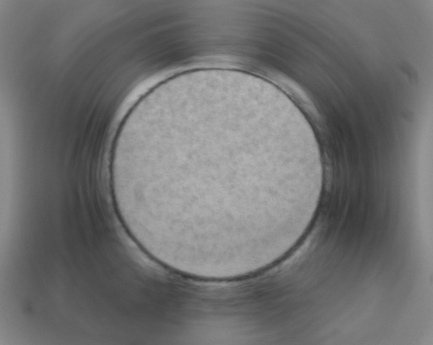 X0000113111192200910091153