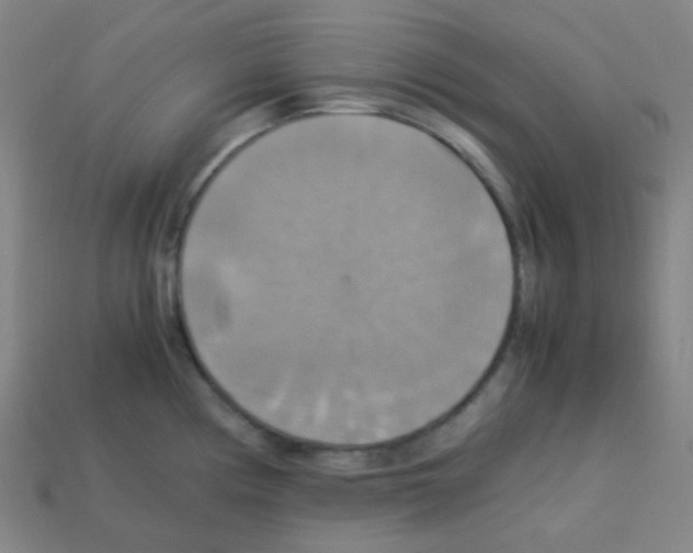 X0000113111194200910091153