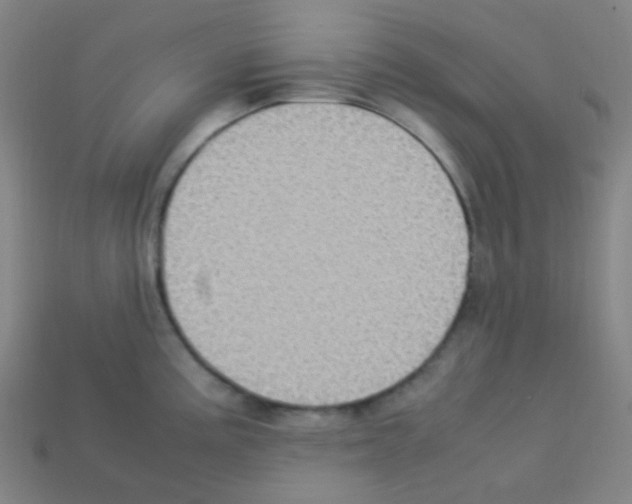 X0000113111195200910091153